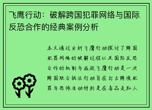 飞鹰行动：破解跨国犯罪网络与国际反恐合作的经典案例分析